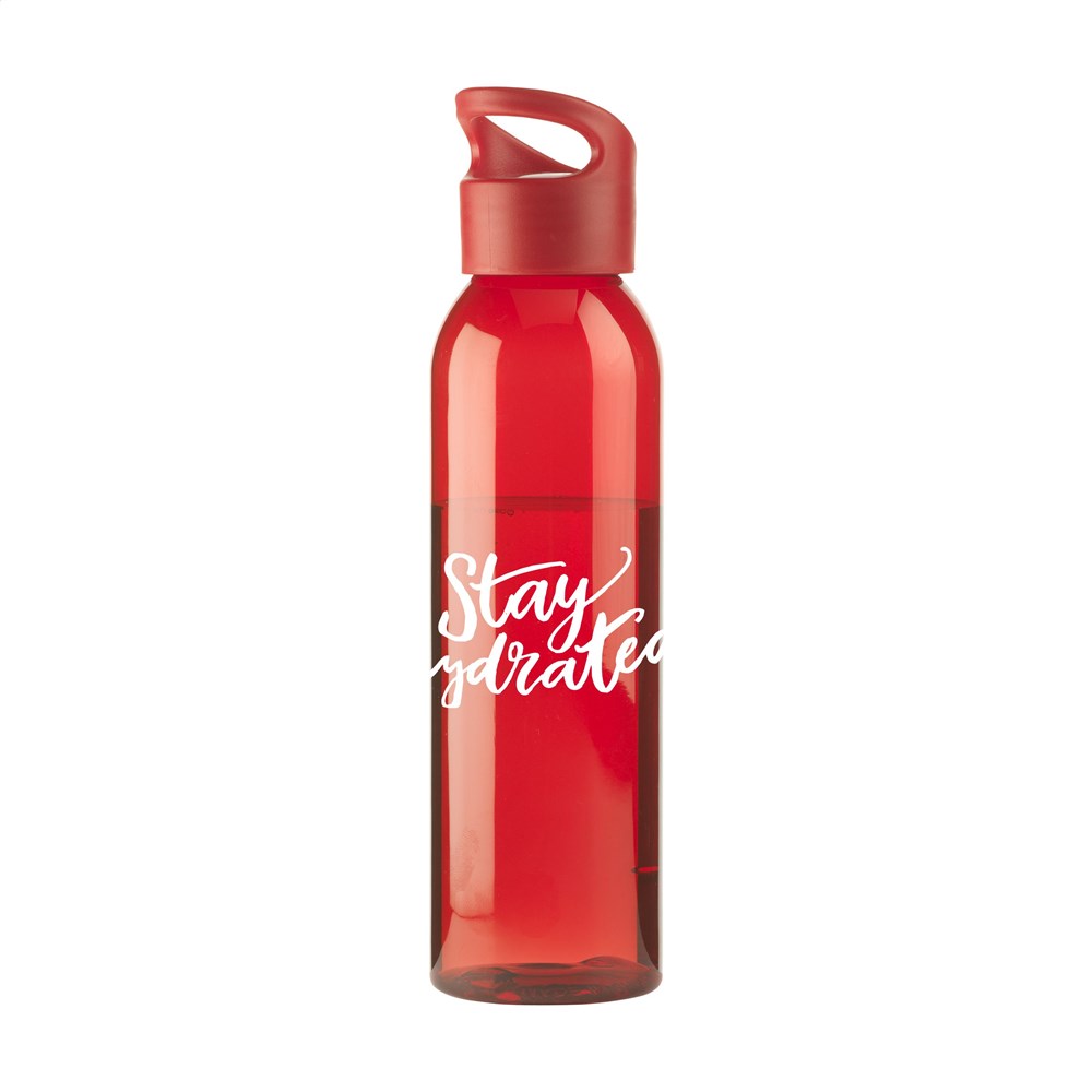 Sirius 650 ml drinking bottle